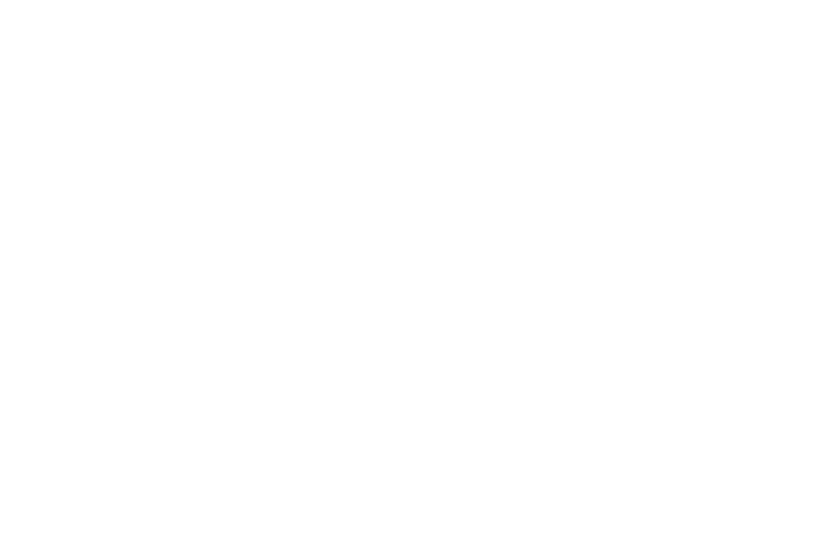 BBQ Bosses